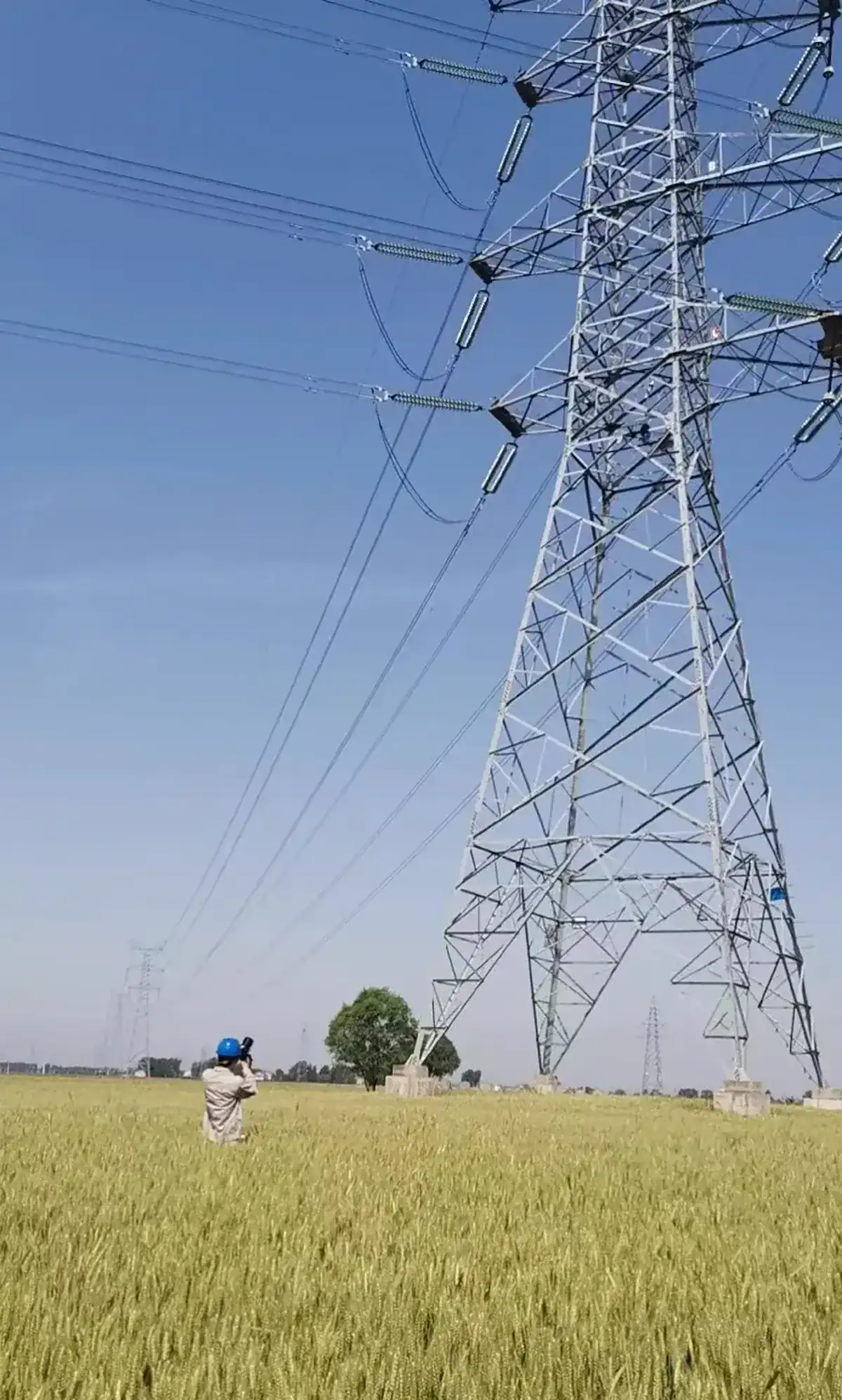 Anonymized transmission structure inspection view